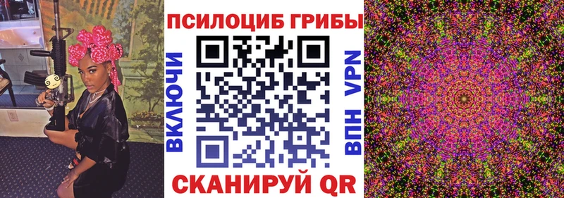 Галлюциногенные грибы Psilocybe Зеленодольск